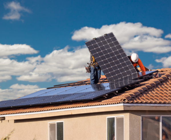 Untitled 136 x 100 px 347 x 246 px 350 x 425 px 425 x 350 px 470 x 520 px 520 x 470 px 520 x 470 px 490 x 525 px 490 x 525 px 600 x 490 px