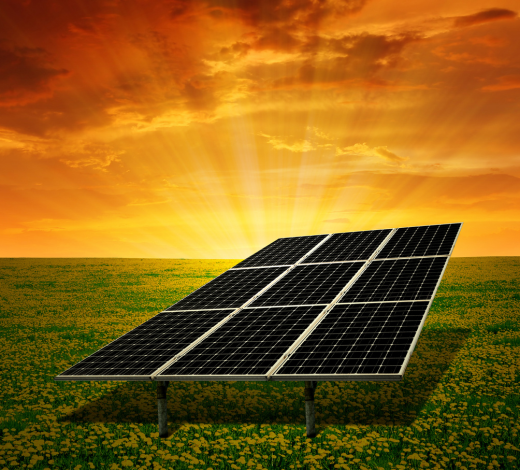 Untitled 136 x 100 px 347 x 246 px 350 x 425 px 425 x 350 px 470 x 520 px 520 x 470 px 520 x 470 px