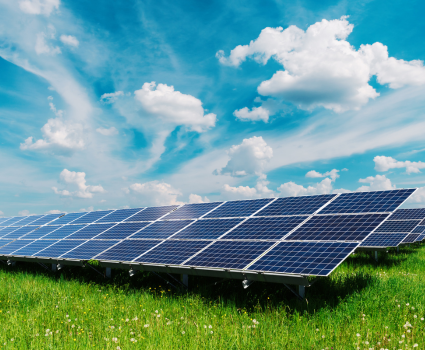 Untitled 136 x 100 px 347 x 246 px 350 x 425 px 425 x 350 px